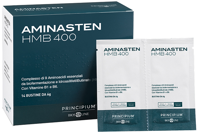 PRINCIPIUM AMINASTEN HMB400 14 BUSTINE 6 G - Antica Farmacia Ferrari