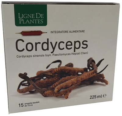 CORDYCEPS 15 AMPOLLE BEVIBILI DA 15 ML - Antica Farmacia Ferrari