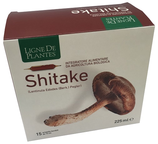 LIGNE DE PLANTES SHITAKE BIO 15 AMPOLLE DA 15 ML - Antica Farmacia Ferrari