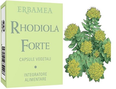 RHODIOLA FORTE 24 CAPSULE - Antica Farmacia Ferrari