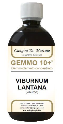 VIBURNO LIQUIDO ANALCOLICO GEMMO 10+ 500 ML - Antica Farmacia Ferrari