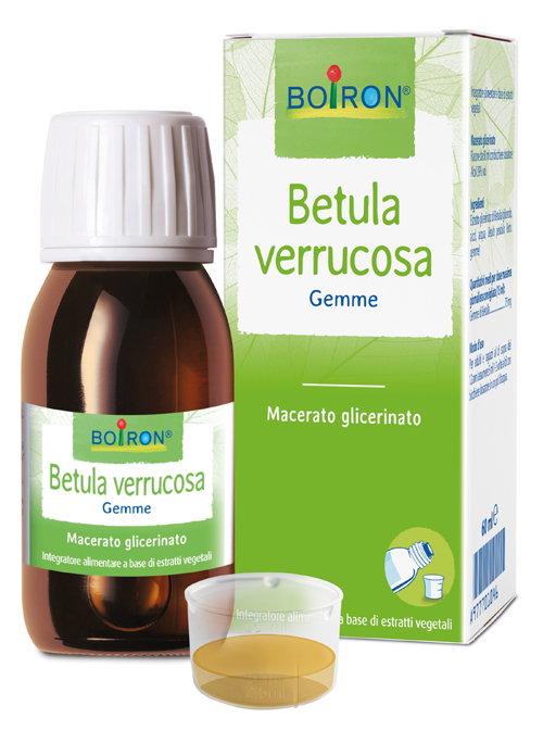 BETULA VERRUCO MACERATO GLICERICO 60 ML INT - Antica Farmacia Ferrari