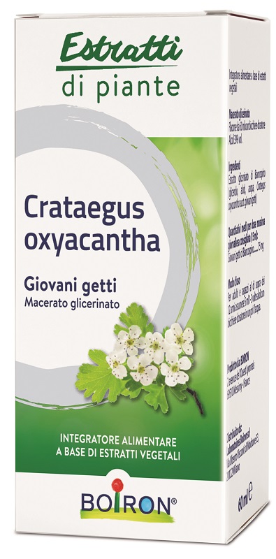 CRATAEGUS OXYACANTHA MACERATO GLICERICO 60 ML INT - Antica Farmacia Ferrari