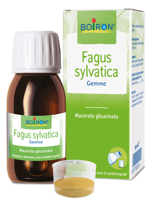 FAGUS SYLVATICA MACERATO GLICERICO 60 ML INT - Antica Farmacia Ferrari