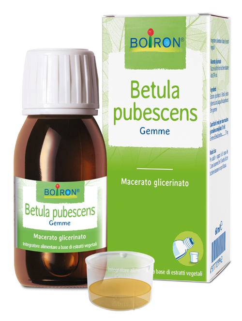 BETULA PUBESCENS MACERATO GLICERICO 60 ML INT - Antica Farmacia Ferrari