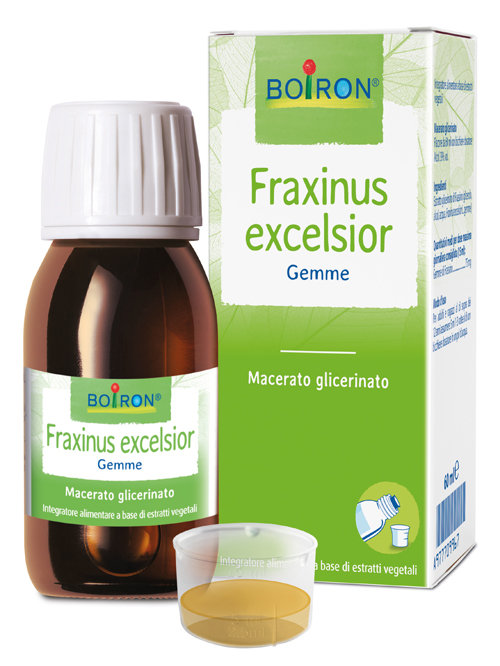 FRAXINUS EXCELSIOR MACERATO GLICERICO 60 ML INT - Antica Farmacia Ferrari