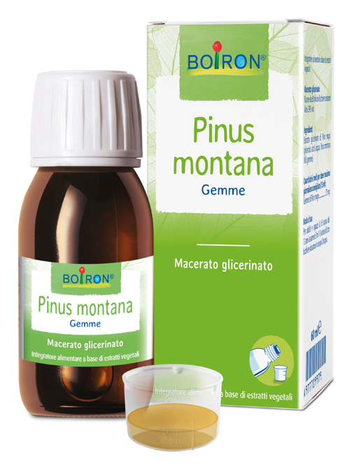 PINUS MONTANA MACERATO GLICERICO 60 ML INT - Antica Farmacia Ferrari