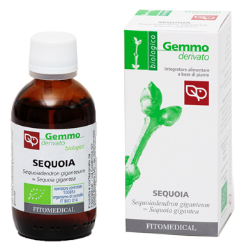 SEQUOIA MACERATO GLICERICO 50 ML BIO - Antica Farmacia Ferrari