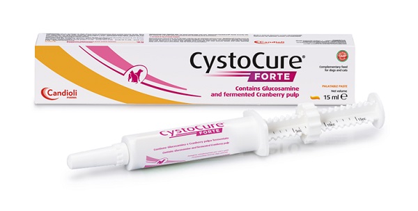 CYSTOCURE FORTE PASTA 15 ML - Antica Farmacia Ferrari
