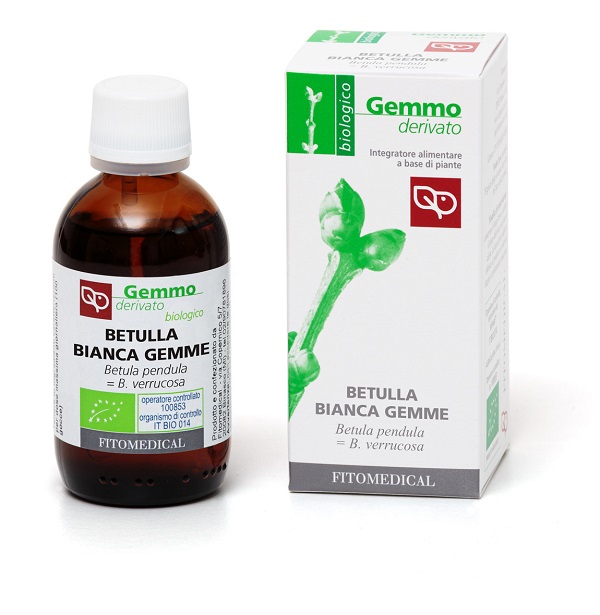 BETULLA BIANCA GEMME MACERATO GLICERICO 50 ML BIO - Antica Farmacia Ferrari