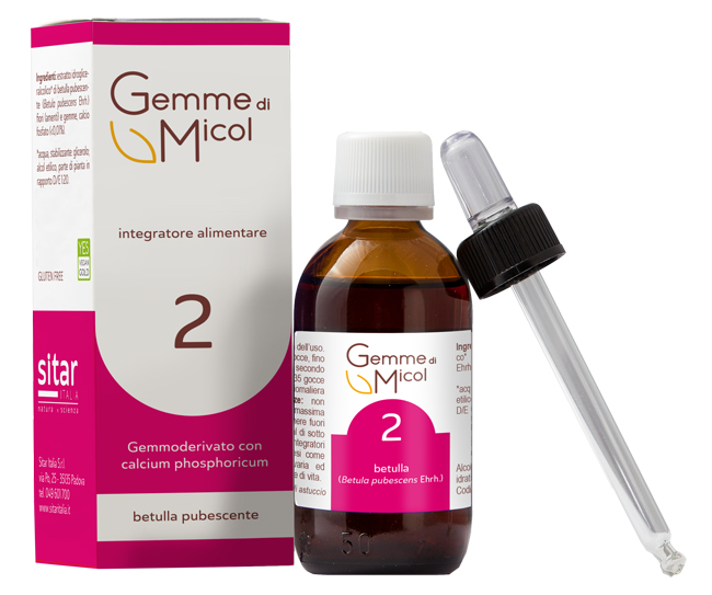 GEMME DI MICOL SOLUZIONE IDROGLICERALCOLICA 2 30 ML - Antica Farmacia Ferrari