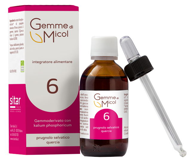 GEMME DI MICOL SOLUZIONE IDROGLICERALCOLICA 6 30 ML - Antica Farmacia Ferrari