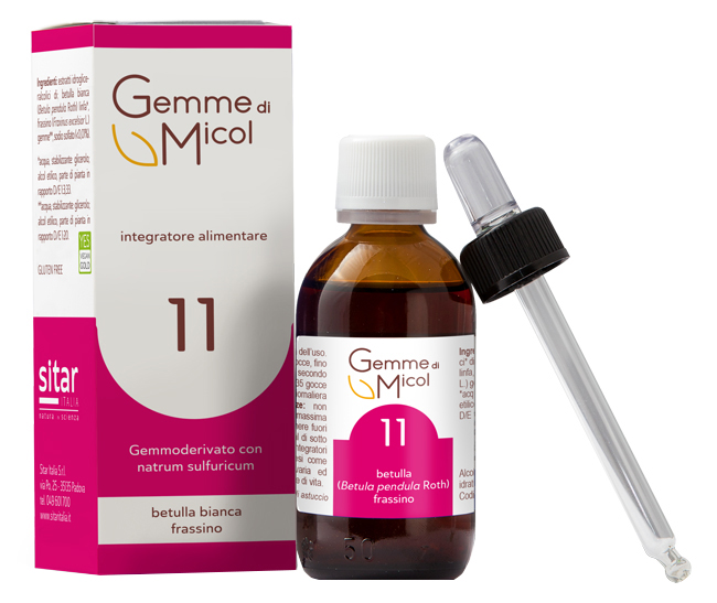 GEMME DI MICOL SOLUZIONE IDROGLICERALCOLICA 11 30 ML - Antica Farmacia Ferrari
